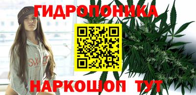 мдпв Пугачёв