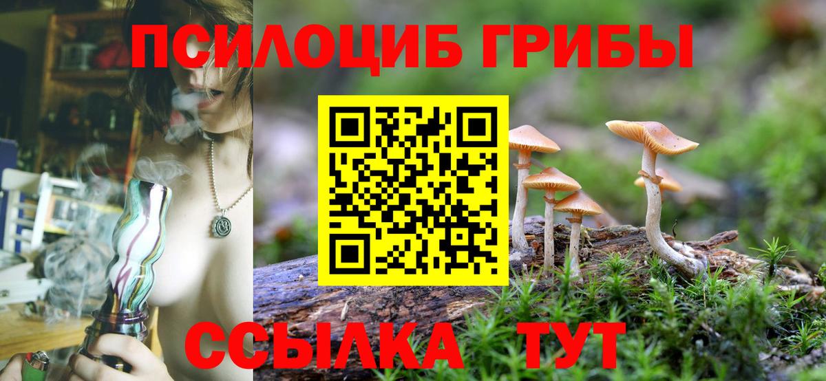 Троицк  Галлюциногенные грибы Psilocybine cubensis  Вход с VPN  Псилоцибиновые грибы Psilocybe 