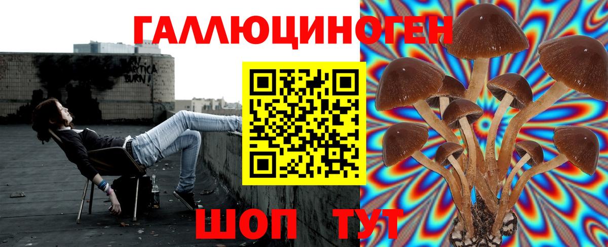 Галлюциногенные грибы ЛСД Троицк